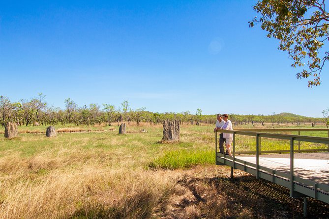 Litchfield National Park Day Tour from Darwin - Magnetic Termite Mounds: quick photos with a cool purpose