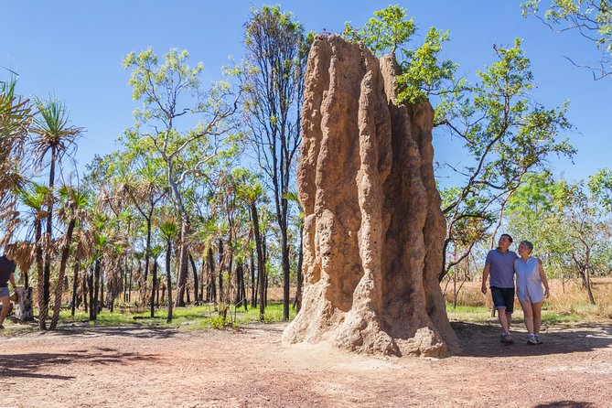 Litchfield National Park Day Tour from Darwin - Price and logistics: what you’re really paying for