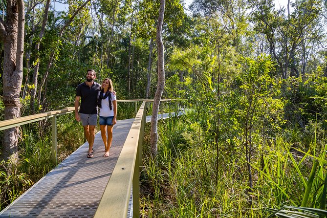 Litchfield National Park Day Tour from Darwin - Tolmer Falls: a short stop with big bat energy