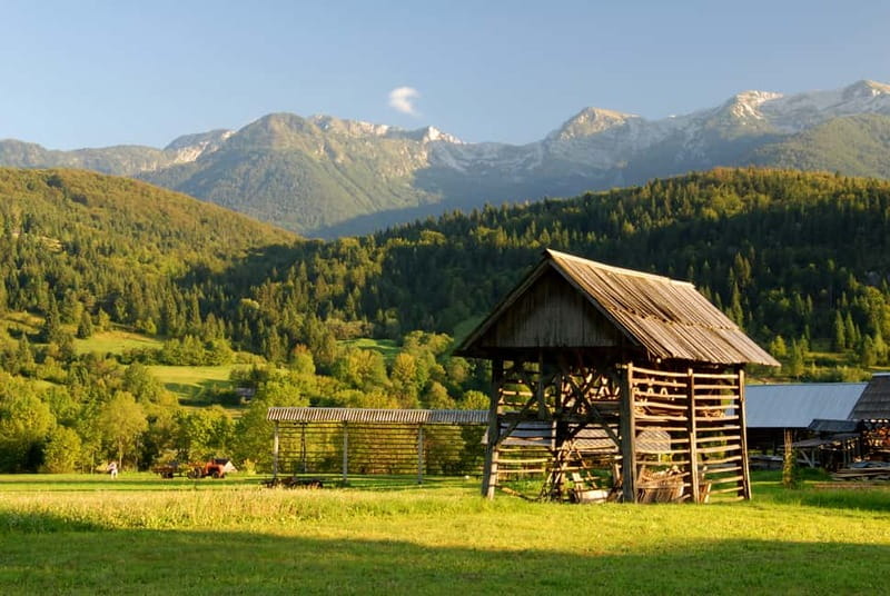 Ljubljana: Lake Bled & Triglav National Park Full-Day Trip - Into Triglav National Park: the Radovna Valley drive