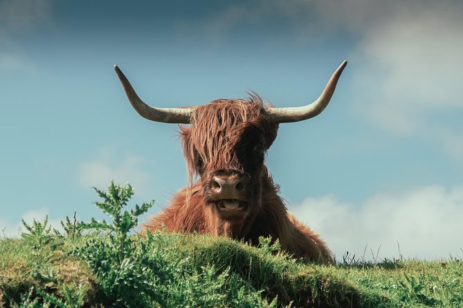 Loch Ness, Glen Coe & The Highlands Day Tour from Edinburgh - Fort William and Ben Nevis: the “big mountain” moment