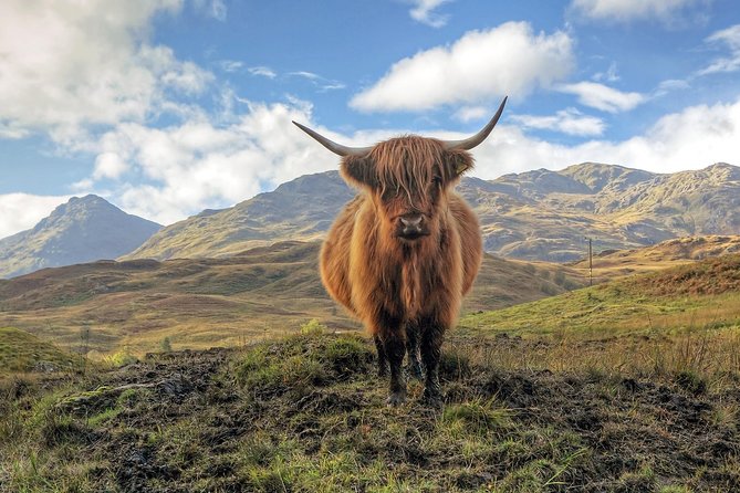 Loch Ness, Glencoe & the Highlands Guided Day Tour from Edinburgh - Donald Fraser illicit whisky experience: a quick cultural stop, if you’re curious