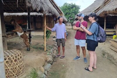 Lombok Driver Customizable Tour Private - Waterfalls: Benang areas and why the approach can change your day