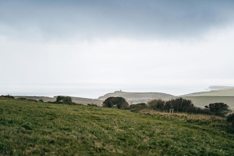 London: South Downs White Cliffs Day Trip with Train Tickets - Price and Value: Why $120 Can Make Sense for This Day