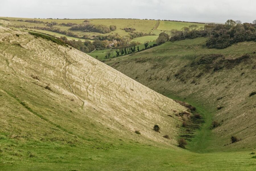 London: South Downs White Cliffs Day Trip with Train Tickets - Middle Farm Lunch Stop: Sussex Food Break Without the Hard Sell