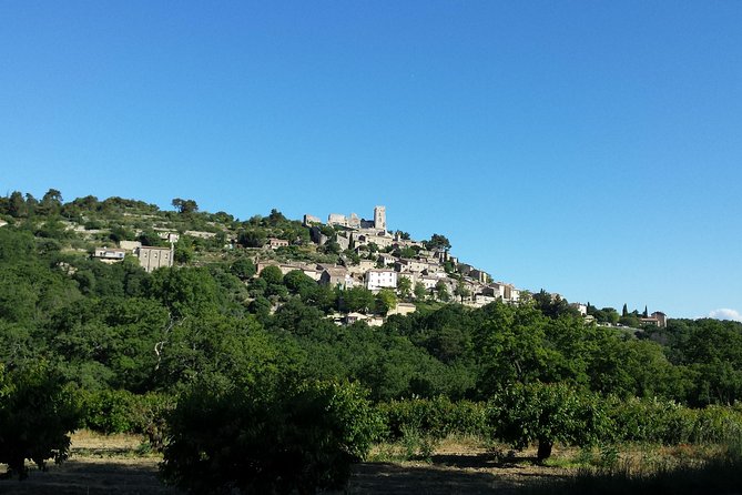 Luberon, Roussillon & Gordes Half-Day Tour from Avignon - Abbaye Notre-Dame de Sénanque: The Lavender-Season Photo Reality Check