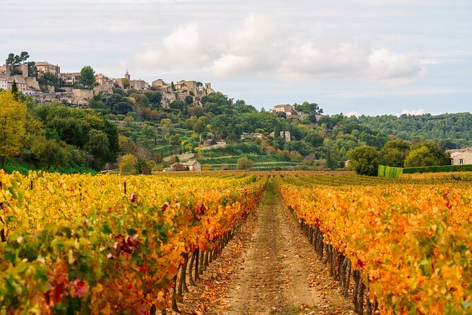 Luberon Small-Group Day Trip from Avignon - Lavender talk, local agriculture, and why it matters