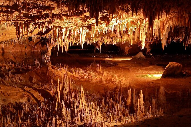 Luray Caverns and Shenandoah Small Group Max 12 Day Tour from D.C - Key things to know before you go