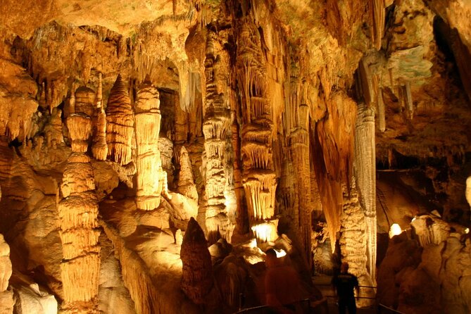 Luray Caverns and Shenandoah Small Group Max 12 Day Tour from D.C - A small-group Virginia reset from Washington DC