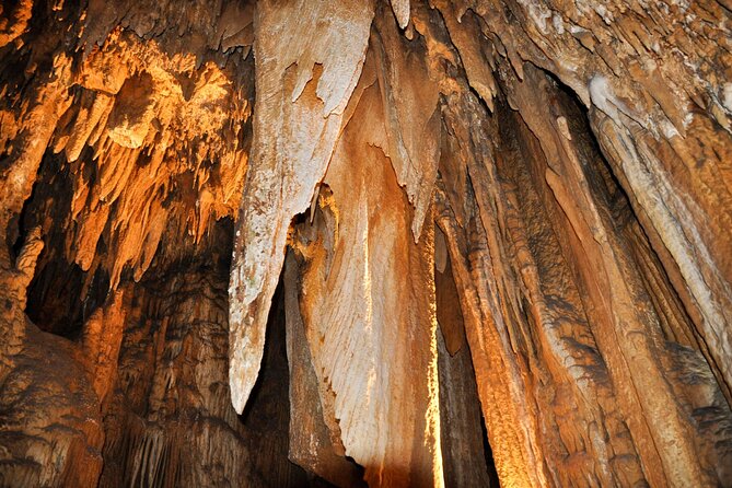 Luray Caverns and Shenandoah Small Group Max 12 Day Tour from D.C - What the guide actually changes: stories, pacing, and safety