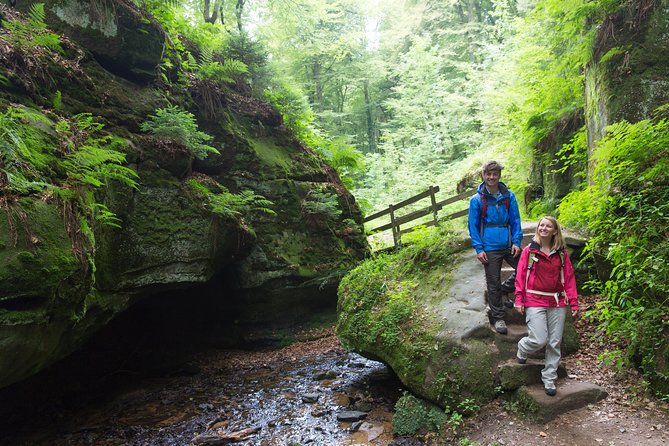 Luxembourg: Nature & Castle Day Trip - Why this day trip works so well from Luxembourg City