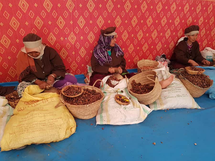 Luxury day trip to Essaouira from Marrakech - Essaouira as Your Marrakech Reset Button