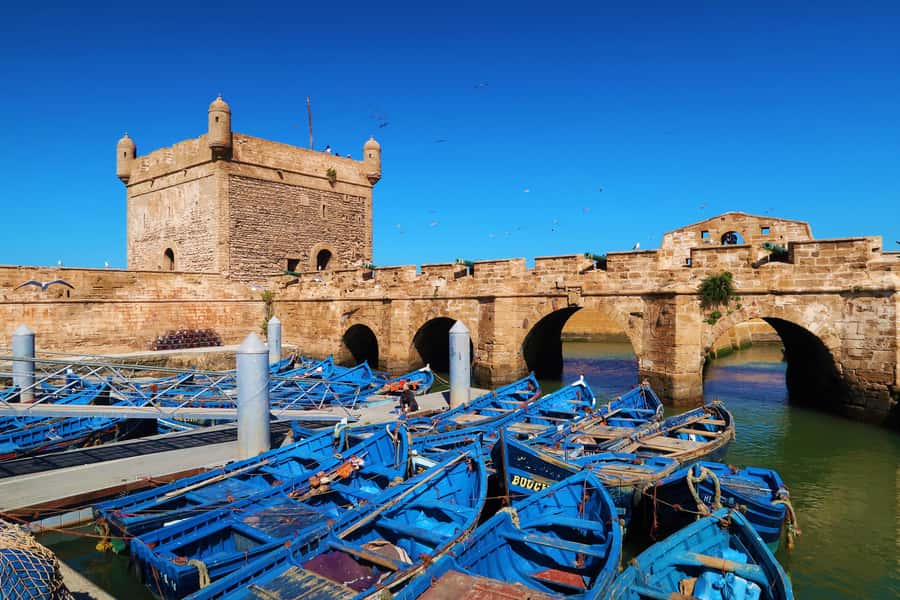 Luxury day trip to Essaouira from Marrakech - The On-Road Stops: Goats, Café Breaks, and Argan Oil Culture