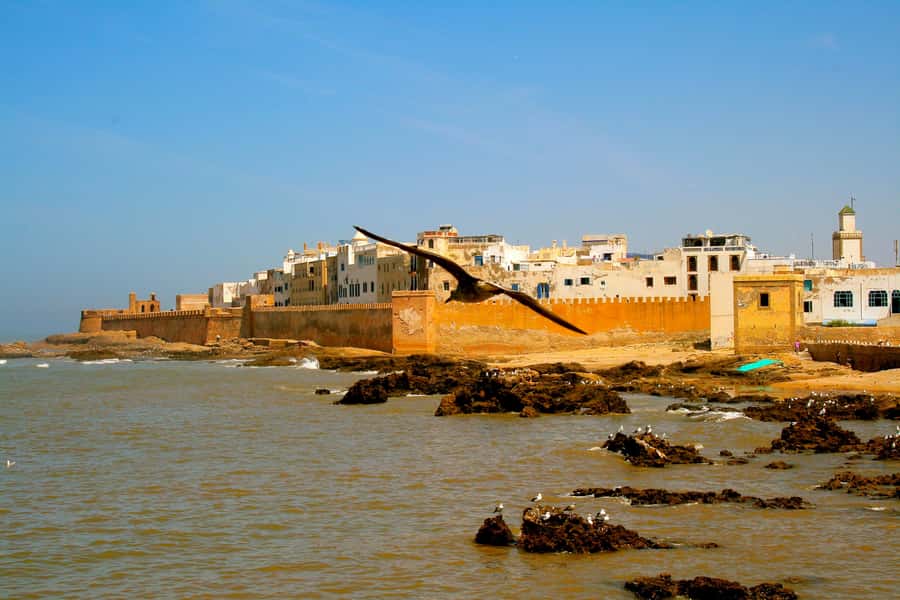 Luxury day trip to Essaouira from Marrakech - Your Four Hours in Essaouira: Medina Wander, Beach Time, and Optional Horse Riding
