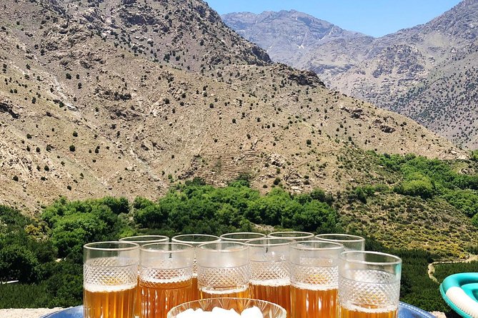 Luxury private day trip - Atlas Mountains, Agafay Desert & camels - Multilingual Guide: Turning Stops Into Real Meaning