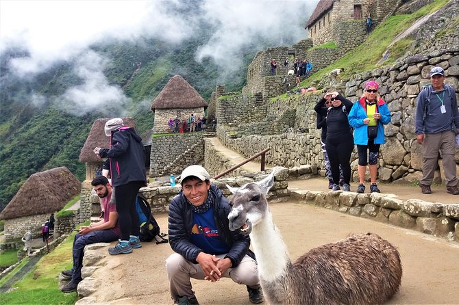 Machu Picchu full day trip from Cusco - Who should book this full-day Machu Picchu trip?