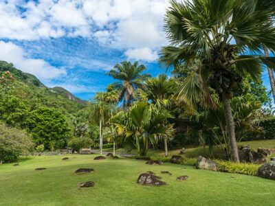 Mahé Island: Island Highlights Guided Day Trip with Lunch - Victoria Market: Your First Dose of Local Ingredients