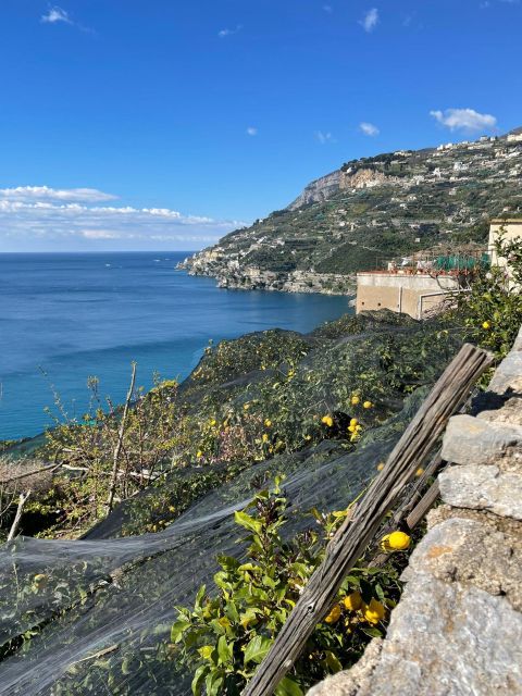 Maiori: Amalfi Coast Path of Lemons Day Trip with Tastings - The Path of Lemons: More Than a Walk Between Two Towns