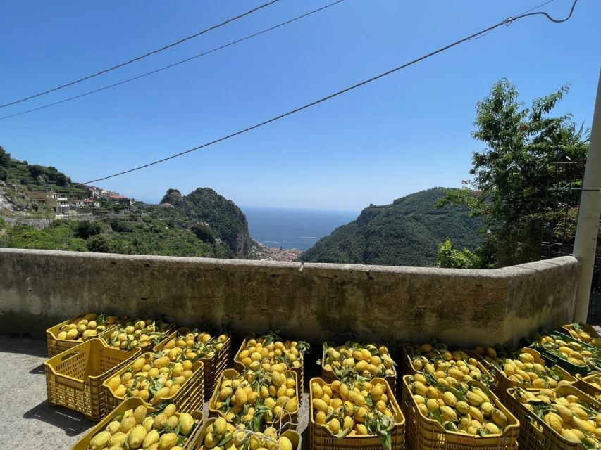 Maiori: Amalfi Coast Path of Lemons Day Trip with Tastings - Price and What You Really Get for $59