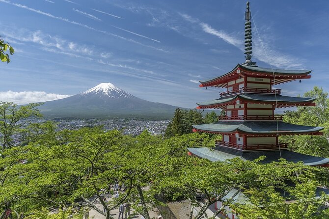 Majestic Mt. Fuji & Hakone Retreat –A Private Day Tour from Tokyo - A One-Day Fuji and Hakone Fix Without Tokyo Chaos