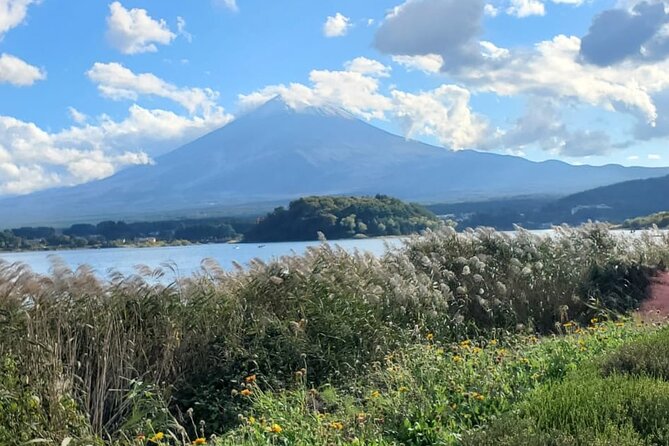 Majestic Mt. Fuji & Hakone Retreat –A Private Day Tour from Tokyo - Oshino Hakkai and Lake Kawaguchiko: Fuji From Lakeside Streets