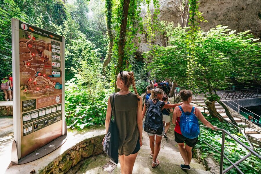 Mallorca: Caves of Drach Day Trip & Optional Caves of Hams - Why the Caves of Drach Concert Feels Like Mallorca’s Best Scene