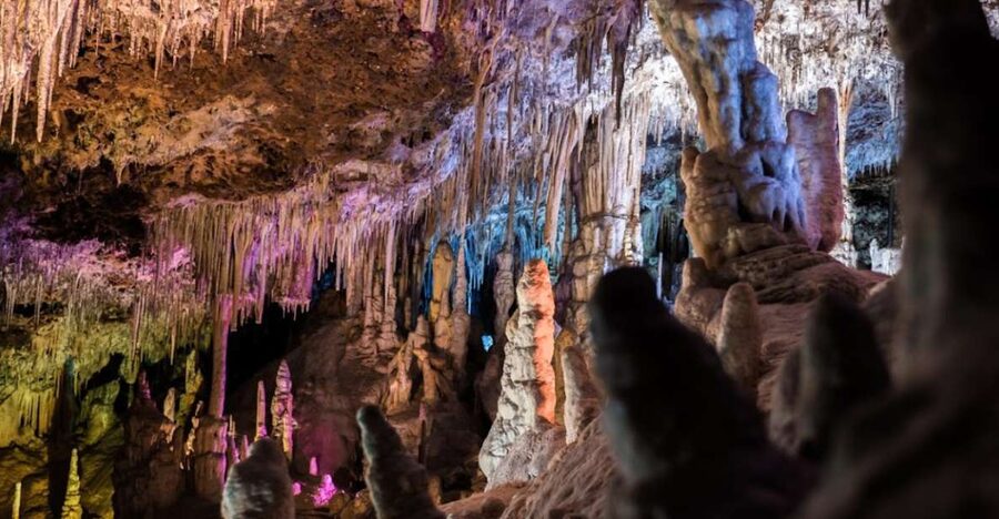 Mallorca: Day Trip to Caves of Hams & Optional Dinosaurland - Key Things You’ll Notice on This Trip