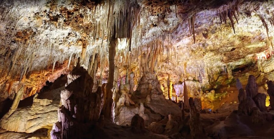 Mallorca: Day Trip to Caves of Hams & Optional Dinosaurland - Tips to make the most of your day at Caves of Hams and Dinosaurland