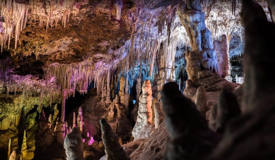 Mallorca: Day Trip to Caves of Hams & Optional Dinosaurland - Dinosaurland on Thursdays: a big hit for families, but manage expectations