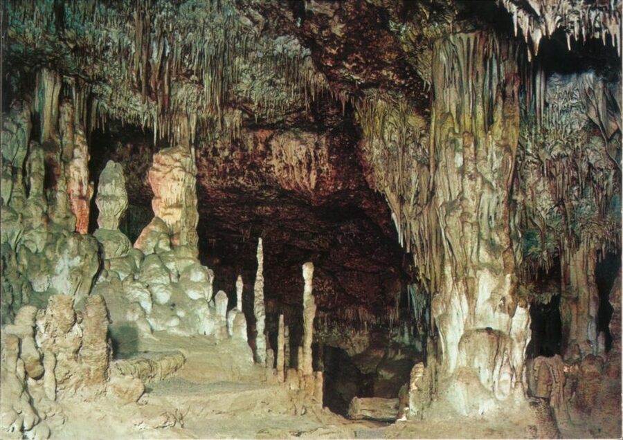 Mallorca: Day Trip to Caves of Hams & Optional Dinosaurland - The pearl factory stop: included if possible, but keep your wallet ready