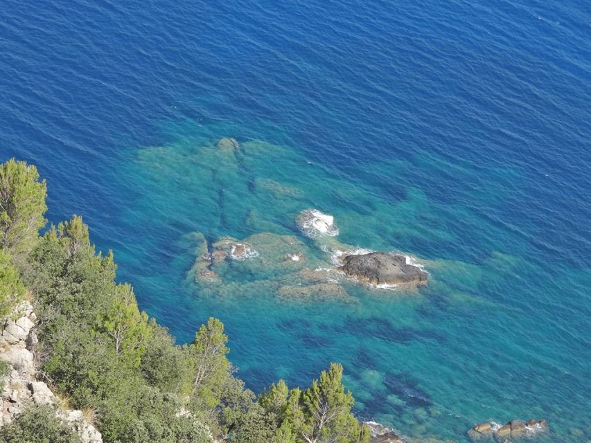 Mallorca: Day Trip to Hidden Gems of Tramuntana with Lunch - The olive oil mill in Soller: the owner’s perspective
