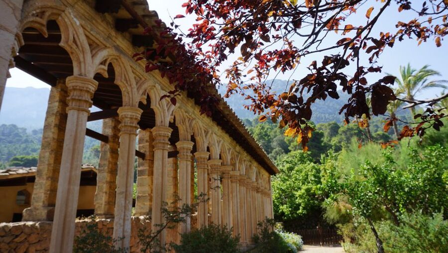 Mallorca: Day Trip to Hidden Gems of Tramuntana with Lunch - Who this tour suits best (and who should look elsewhere)