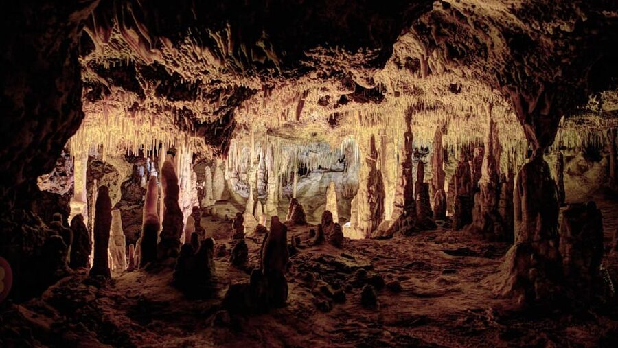 Mallorca: Drach Caves, Lake Martel, & Pearl Factory Day Trip - Cuevas del Drach: the Stalactites Show, Plus a Live Concert