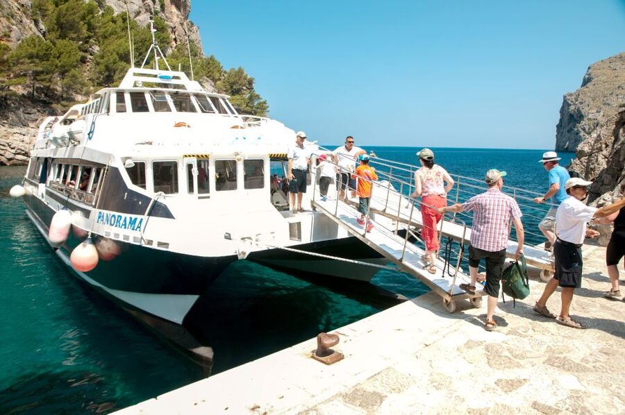 Mallorca: Scenic Full-Day Tour from the North - Guides and Drivers: The Difference Between a Good Day and a Great One