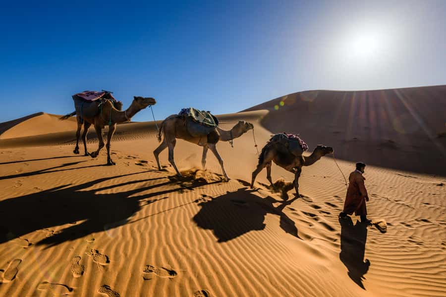 Marrakech: 3-Day Trip to Fez with Sandboarding & Camel Ride - Desert camp night: tents, mint tea, drums, and stargazing