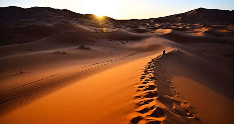 Marrakech: 3-Day Trip to Fez with Sandboarding & Camel Ride - Day 3: Sunrise camel ride, Erfoud fossils/dates, and the long drive home