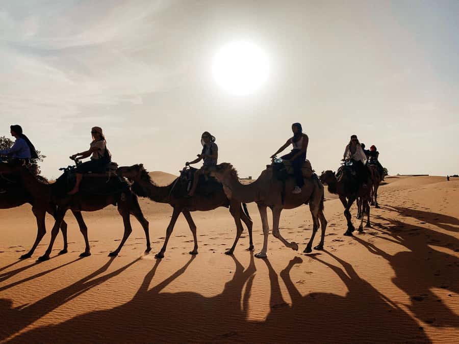 Marrakech: 3-Day Trip to Fez with Sandboarding & Camel Ride - Comfort and practicalities: bus hours, AC quirks, and what to pack