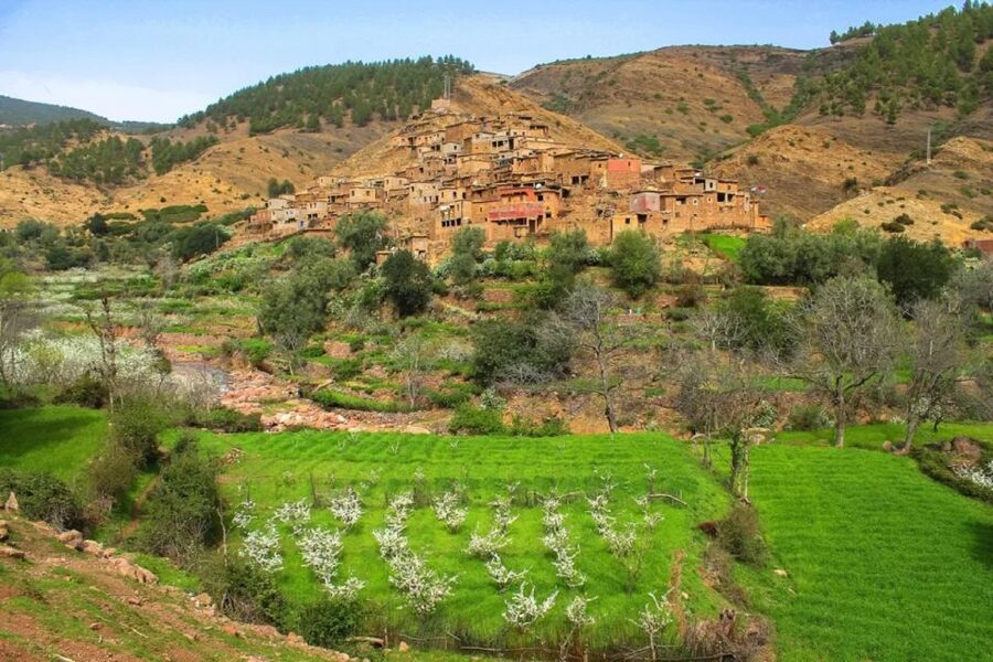 Marrakech: Atlas Mountains Day Trip, 3 Valleys & Waterfalls - Waterfalls and Toubkal National Park Views: Where the Day Gets Extra Pretty