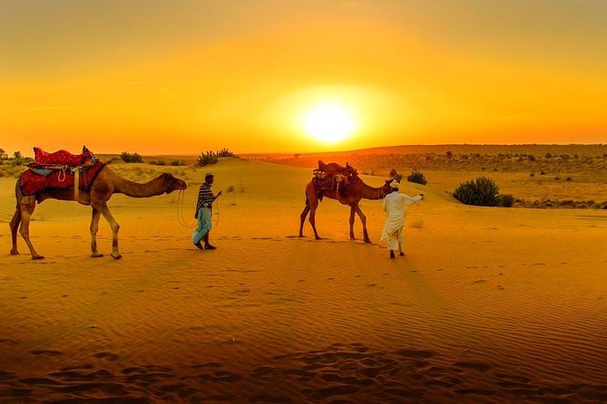 Marrakech Day Trip: Agafay Desert, Atlas Mountains and Camel Ride - Key points before you go