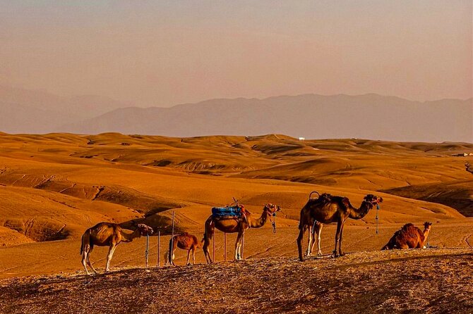Marrakech Day Trip: Agafay Desert, Atlas Mountains and Camel Ride - Waterfalls, viewpoints, and the return through walnut orchards