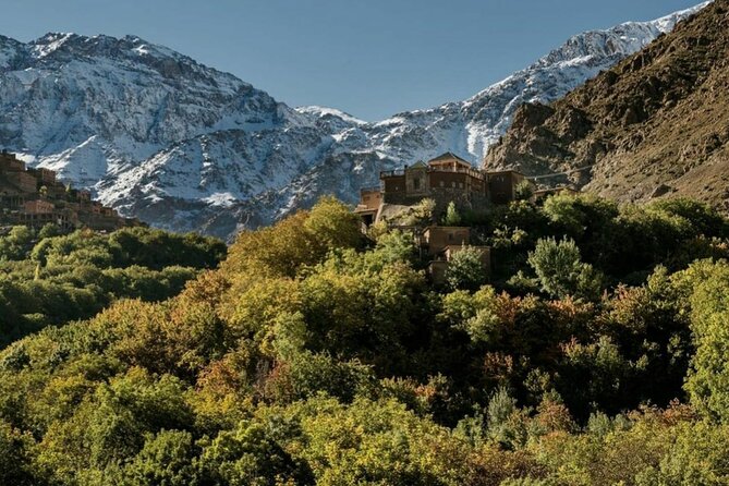 Marrakech: Day Trip to ourika valley & Atlas Mountains - Key points before you go