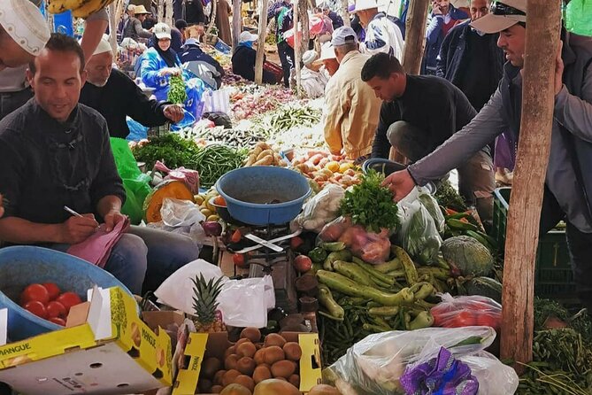 Marrakech: Day Trip to ourika valley & Atlas Mountains - The Atlas Mountains drive: scenery plus logistics