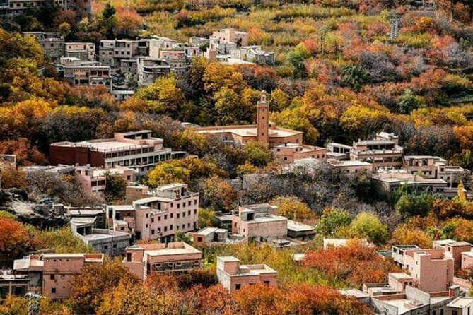 Marrakech: Day Trip to ourika valley & Atlas Mountains - How long is it really, and how the day flows