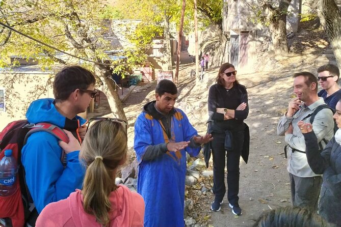 Marrakech: Day Trip to ourika valley & Atlas Mountains - Pickup, group size, and why small beats big here