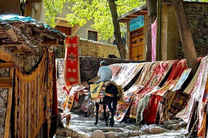 Marrakech: Day Trip to ourika valley & Atlas Mountains - Optional camel ride: fun choice, don’t let it stress you