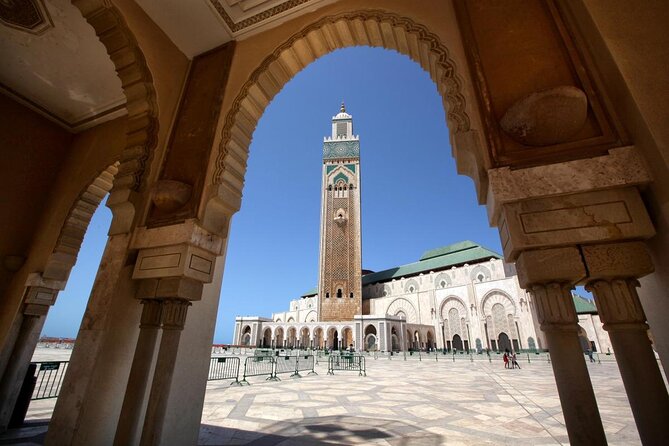Marrakech Day Trip with Camel Ride from Casablanca - Key takeaways before you go