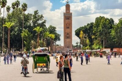 Marrakech Day Trip with Camel Ride from Casablanca - La Palmeraie camel ride: the included 45 minutes