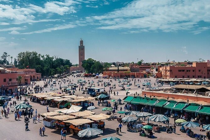 Marrakech Day Trip with Camel Ride from Casablanca - Price and value at about $110.07: what you’re really paying for