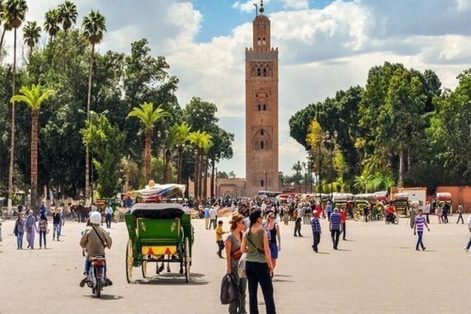 Marrakech Day Trip with Camel Ride from Casablanca - La Palmeraie camel ride: the included 45 minutes