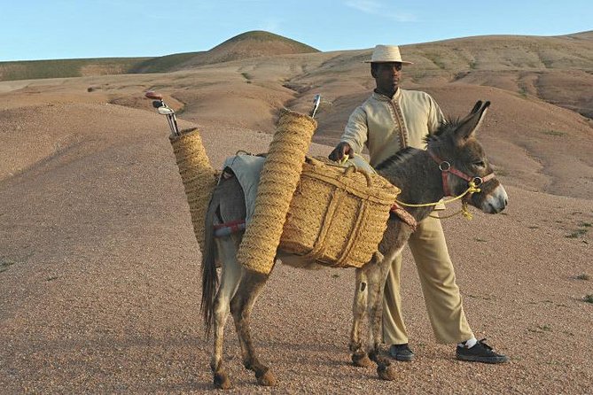 Marrakech: Desert Agafay & Atlas Mountains Day Trip & Camel Ride - The Imlil Valley viewpoints: waterfalls, terraces, and a guide who keeps you oriented